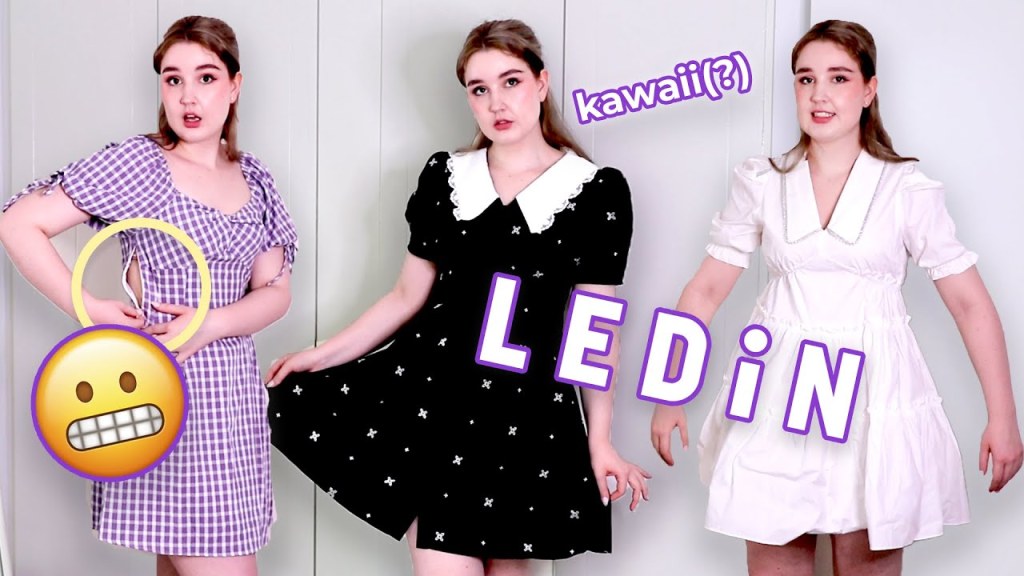 ledin try on haul kawaii fashion peacebird honest review